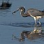 thumbs/IMG_1005.jpg